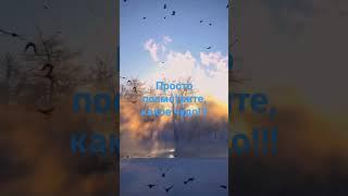 Природа- это Жизнь!!️️️️️️