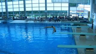 1m Diving (Turmspringen/Wasserspringen) (TPSK Diving)