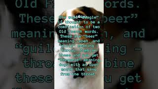 Did you know? fun facts about Beagles, Quiz Beagle20