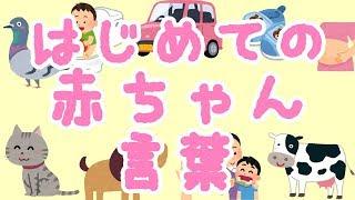 はじめての赤ちゃん言葉赤ちゃんの語彙力を増やす動画