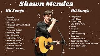 Shawn Mendes Hit Songs Remix | Shawn Mendes Songs Remix | Pop Vibes | English Songs Remixes