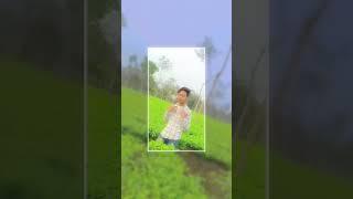 Short shorts trending song #tushar