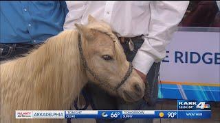 KARK 4 News at 4