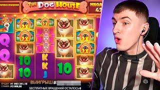 ТЕМКО ПОЙМАЛ МОЩНЫЙ ЗАНОСИЩЕ НА СТРИМЕ В DOG HOUSE MEGAWAYS! ПО СТАВКЕ ?????р.  ( ЗАНОСЫ НЕДЕЛИ )