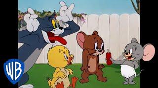 Tom i Jerry po polsku | Maksymalna słodycz! | WB Kids