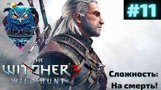 THE WITCHER 3 WILD HUNT Прохождение на Русском | ВЕДЬМАК 3 ДИКАЯ ОХОТА ПРОХОЖДЕНИЕ | СТРИМ #11