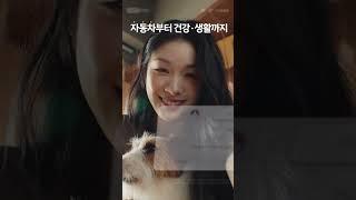 일상을 지키는 힘, KB손해보험 다이렉트 (펫보험)