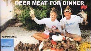 Deer Meat for Dinner   7grainsofsalt