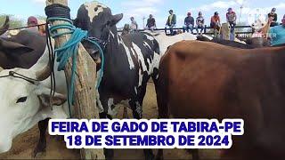 Feira do Gado de Tabira-PE dia 18/09/24 Parte 1 no Pátio