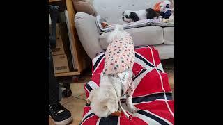 토리.우수와간식타임