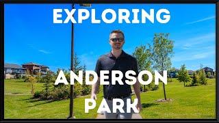 Exploring Anderson Park Redondo Beach