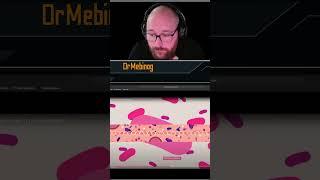 L'histoire de la mitochondrie ! | #drmebinog sur #Twitch