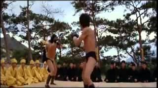Lý Tiểu Long vs Hồng Kim Bảo - Long Tranh Hổ Đấu