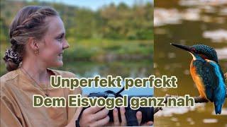 Unperfekt perfekt - dem Eisvogel ganz nah  | Ein Kurzfilm