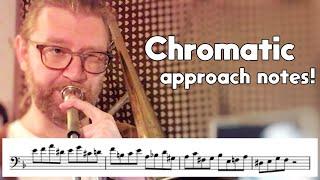 3 Important Scale Exercises With Chromatic Approach Notes!