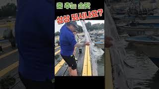 춤 추는 손 맛~ 상상 되시나요? #shorts #투망 #fishing #취미 #바다투망 #취미생활