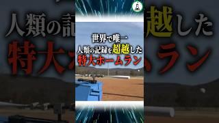 世界で唯一人類の記録を超越した特大ホームラン #ゆっくり解説 #科学 #雑学