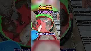 난전어시장 ~^힐링여행