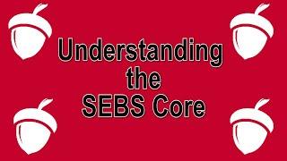 Understanding the SEBS Core