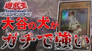 【遊戯王】大谷翔平選手の"犬"がガチカードすぎる件について【デコピン】