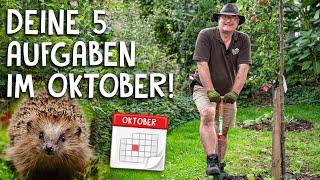 5 Dinge, die du noch diesen Monat erledigen solltest!  - wichtige Gartenarbeiten im Oktober