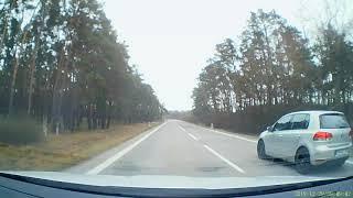 Srnka na ceste / Deer on the road