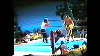 MASA SAITO VS BRUTUS THE BARBER BEEFCAKE JAPAN 1993