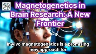 Magnetogenetics in Brain Research - A New Frontier