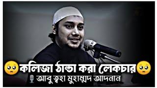 কলিজা ঠান্ডা করা লেকচার | আবু ত্বহা মুহাম্মদ আদনান | Abu Toha Muhammad Adnan | আবু ত্বহা আদনান ওয়াজ