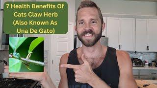 7 Health Benefits Of Una De Gato (Cat's Claw Herb) From The Amazon Rainforest