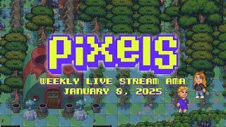 Pixels Live Stream AMA