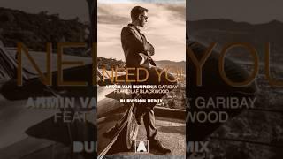 Armin Van Buuren & Garibay - I Need You (Dubvision Remix) ft. Olaf Blackwood (Lyrics)