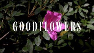 GOODFLOWERS