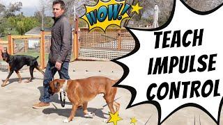 Teaching Henry (pool dog) low distraction impulse control training using a leash