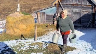 Village Life in Winter: Lonely Grandma Takes Care of Cows in a Remote Mountain Village