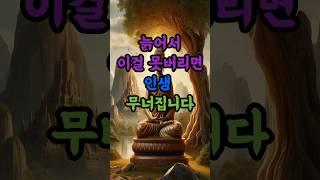 늙어서 이걸 못버리면 인생 무너집니다. #부처님말씀 #마음공부 #명언 #인생조언#노년의지혜