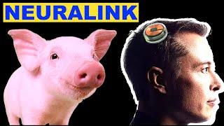 Neuralink: Elon Musk & Pigs - Highlights