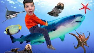 Caleb Visits the SEATTLE AQUARIUM, Talks to a Sea Lion, Touches an Octopus and Learns with Mom!