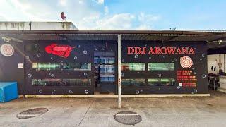 DDJ Arowana - Nino ชวน NC. พาชมปลาสวยที่ร้านคุณแจ็ค DDJ Arowana ที่สวนจตุจักร ปลาแดงสวยๆ เพียบ !! 