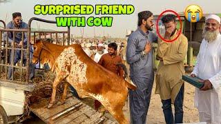 SURPRISING FRIEND WITH COW GIFT | MISHKAT KHAN FICTION VLOG | BAKRA EID 2025