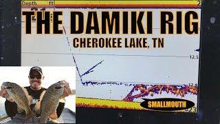 Cherokee Lake DAMIKI RIG Fishing