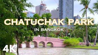 【4k real sound】 A Green Haven: Captivating Experiences in Bangkok's Park