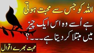 Allah Aur Mohbbat? Quotes About Allah In Urdu | Islamic Quotes Urdu | Beautiful Urdu Quotes Rahe Haq