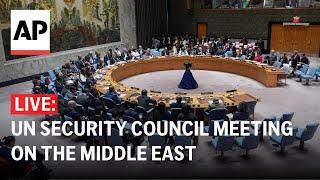 LIVE: UN Security Council meeting on the Middle East