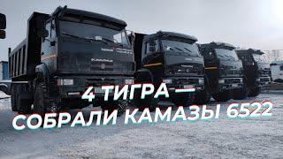 Самосвалы КамАЗ 6522 - собрали 4 тигра! Не знаем, что с ними теперь делать!