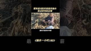 天价抽水：紧挨淮河的农民,却放弃抽水，眼睁睁看着庄稼旱死 #农民 #种地 #情感共鸣 #旱情