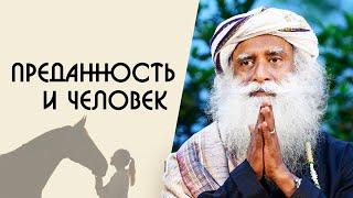 Как человеку подготовиться к преданности - Садхгуру на Русском