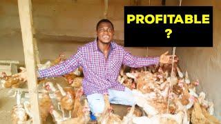 How much profit you can make weekly from 200 layers chicken farming.