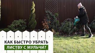 Как поддерживать порядок в саду? Нужно ли убирать листву с мульчи? Простые решения для вашего сада