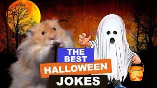 Jokes for Kids The Best Halloween and Knock Knock Jokes